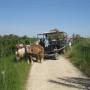 2013 Camargue